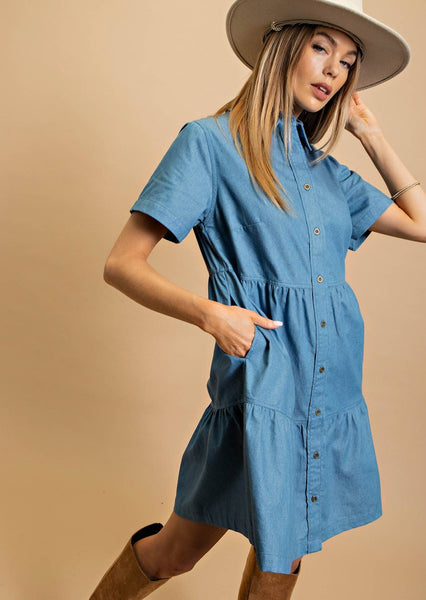 Light Denim Button Down Dress