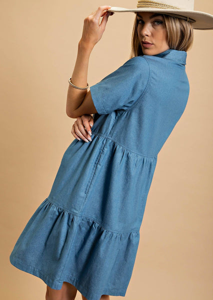 Light Denim Button Down Dress