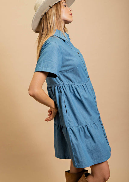 Light Denim Button Down Dress